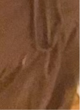 Guest_inyourdadsroom