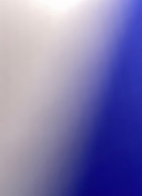 Guest_HollyHood2