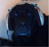 Guest_b0nkers2