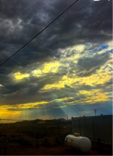 Guest_kingtyler540969