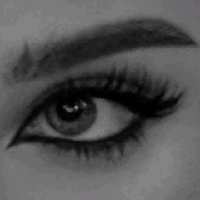 Guest_Evelincita