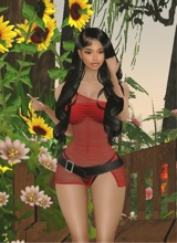 Ava663201