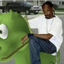 Guest_Fmgyatzilelloco