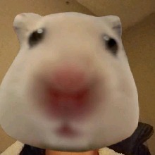 Guest_MixPanda