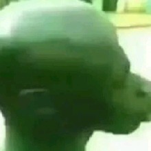 Guest_AriHenrique