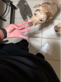 Guest_DoctorFunnyPerson