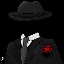 Guest_Ace191826