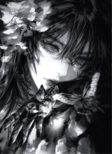 Guest_Ren394285