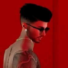 Guest_BrunoSilva49
