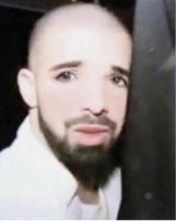 Guest_articbritney