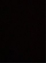 Guest_Wallon2