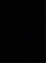 Guest_Wallon2