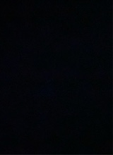 Guest_Wallon2