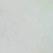 Guest_Dvn01100