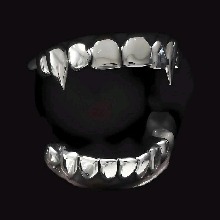 Guest_Trey250