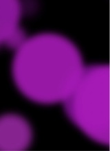 Guest_BR3328