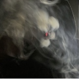 Guest_Taeluvsutoomuch