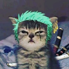 Guest_nelto