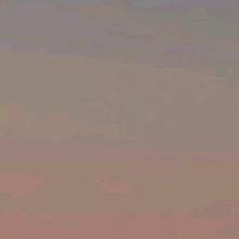 Guest_dommgoldenrod3e06