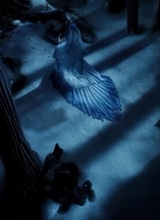 Guest_darkblueazure832b