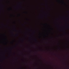 Guest_Lipe172593