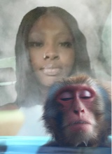 Guest_Kamill39