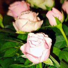 Guest_Grace729792