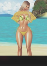 Guest_Mylah355488
