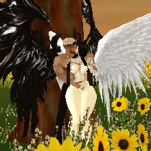 Guest_AlvaroPiedrahita1