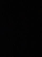 Guest_Alves69