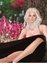 Guest_AFunTimes