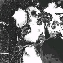 Guest_Dominique551973