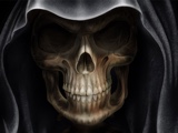 Guest_fireeasyman