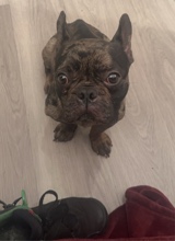 Guest_REGGIE232545