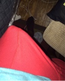 Guest_lorDoriann