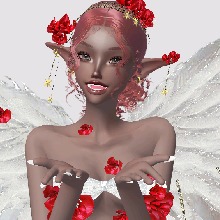 Guest_ShopDamisa