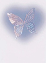 Guest_YinMo