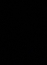 صورة الـavatar