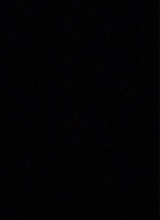 Guest_safa174138