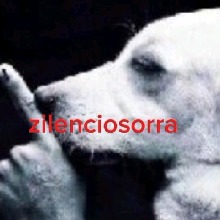 Guest_Manolo82717