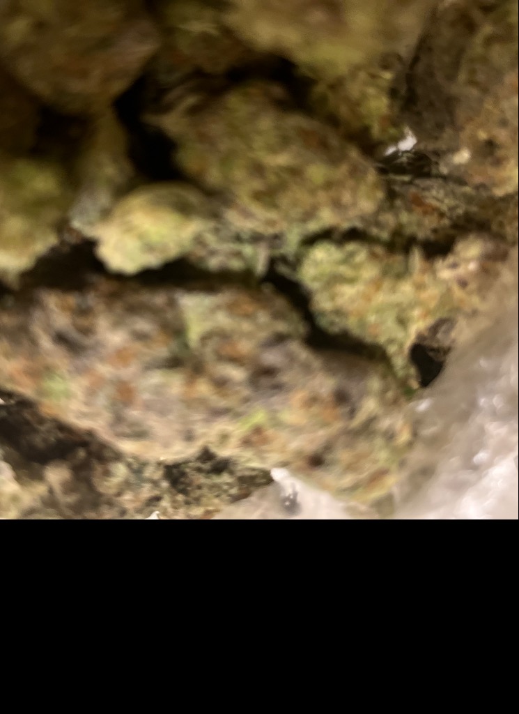 Guest_pop0utsosa