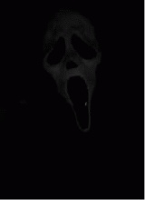 Guest_Jax379874