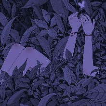 Guest_Srae6