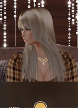 Guest_Ivory49690