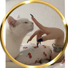Guest_TheSultana