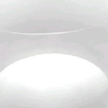 Guest_Goku197016