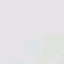 Guest_Mayah311104