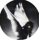 Guest_Elijah780