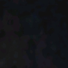 Guest_Kitty450692