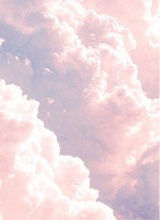 Guest_MV47